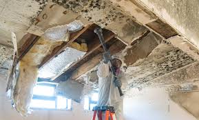 Best Water Damage & Mold Remediation  in Potomac Park, CA